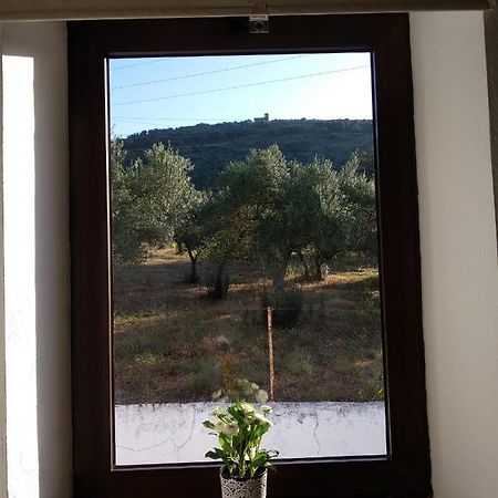 Casa Rural Ventanas A La Sierra Higuera De La Sierra  Eksteriør billede